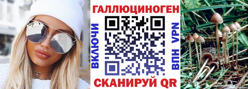 Галлюциногенные грибы мицелий  цены наркотик  Бикин 